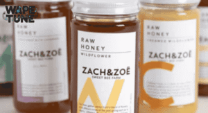 Zach And Zoe Honey Net Worth